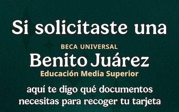 Durante febrero de 2026, los