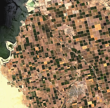 Imagen satelital del Valle Imperial con campos agrícolas rectangulares verdes y marrones. Un gran cuerpo de agua oscuro a la izquierda, zonas urbanas y canales visibles