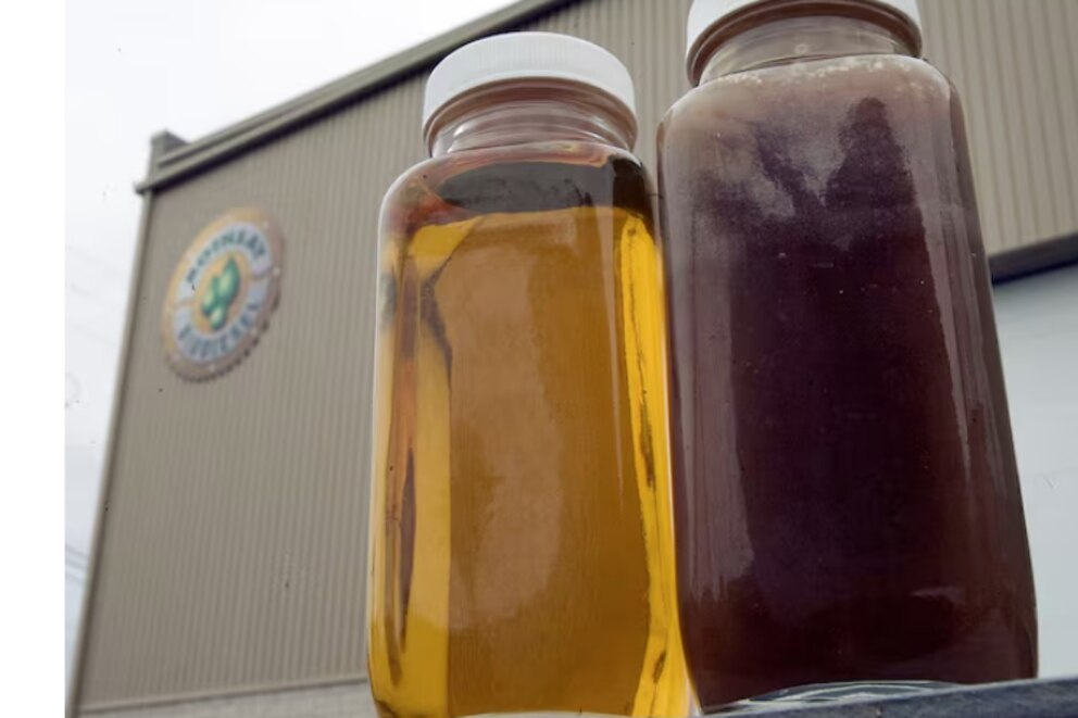 Estados Unidos impulsa el biodiésel y la soja argentina celebra un inesperado repunte