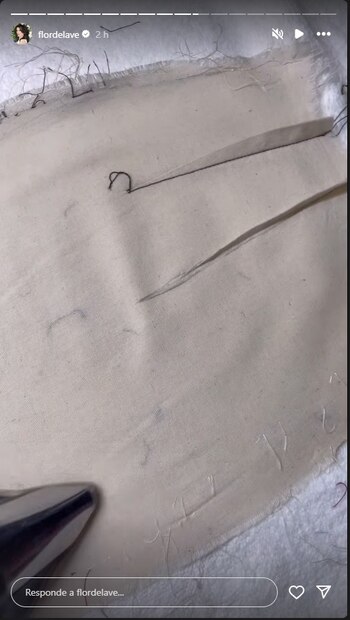 Flor de la V mostró