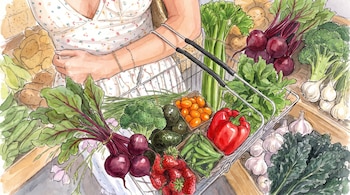 Ilustración en acuarela de una mujer con una cesta metálica que contiene remolachas, brócoli, pimiento rojo, fresas y verduras de hoja.