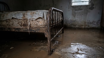 Una cama metálica con el colchón manchado se encuentra sobre un suelo agrietado y cubierto de agua turbia dentro de una habitación.