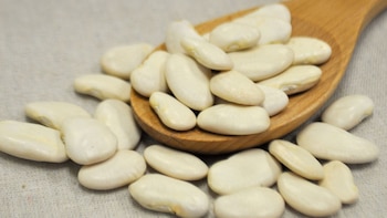 Desde las tierras peruanas hasta