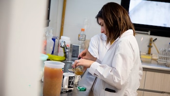 Lina Merino y colaboradores en