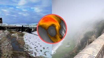 Conoce todos los nombres que