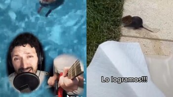 Thalía presumió la canción que