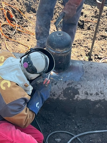 Personal especializado trabajando en la