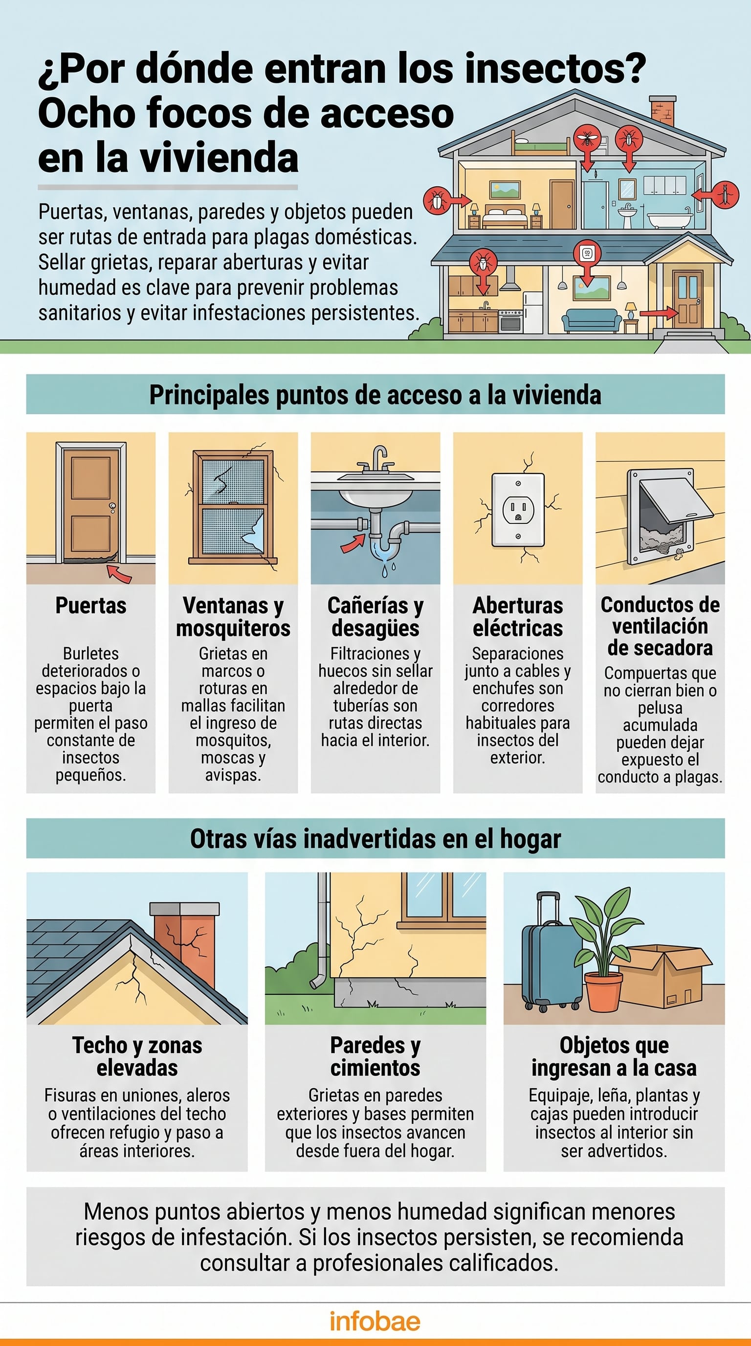El mantenimiento del hogar reduce el riesgo de infestaciones. (Imagen Ilustrativa Infobae)