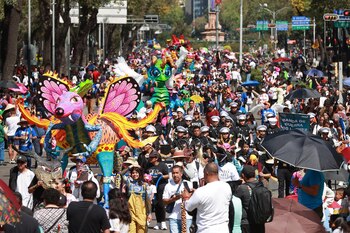 Actividades a realizarse por el