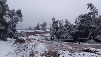 En Machu Picchu, la temperatura también es inusual entre 3 y 8 grados centímetros.