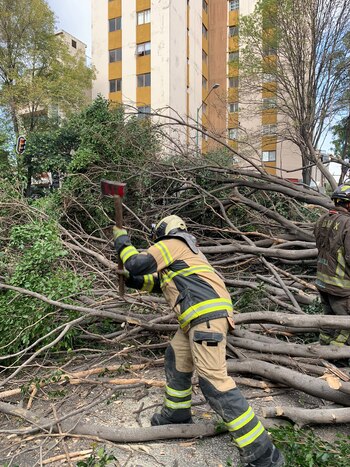 Bomberos de la CDMX trabajaron