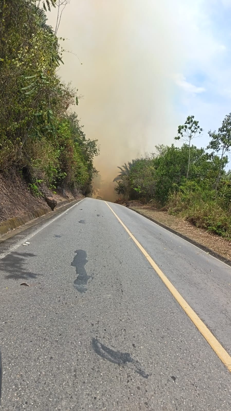 Agosto superó a junio y julio en incendios forestales en Cundinamarca, con 198 emergencias y 1.380 hectáreas afectadas hasta el 23 de agosto - crédito Gobernación Cundinamarca/Bomberos Cundinamarca