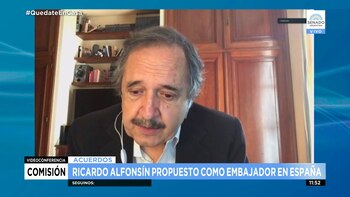 Ricardo Alfonsín vía teleconferencia