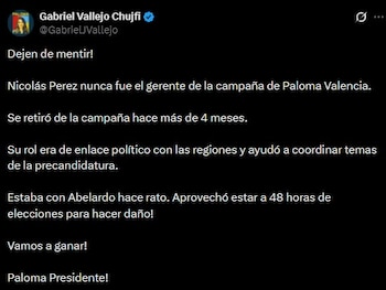 Gabriel Vallejo Chujfi aseguró que Nicolás Pérez nunca fue gerente de la campaña y que su salida ocurrió hace varios meses - crédito Gabriel Vallejo/X