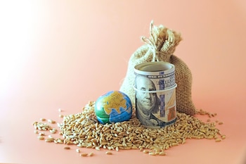 Expertos, ministros y académicos reunidos