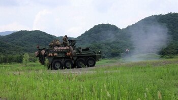 Ejercicio de Fuego Real de