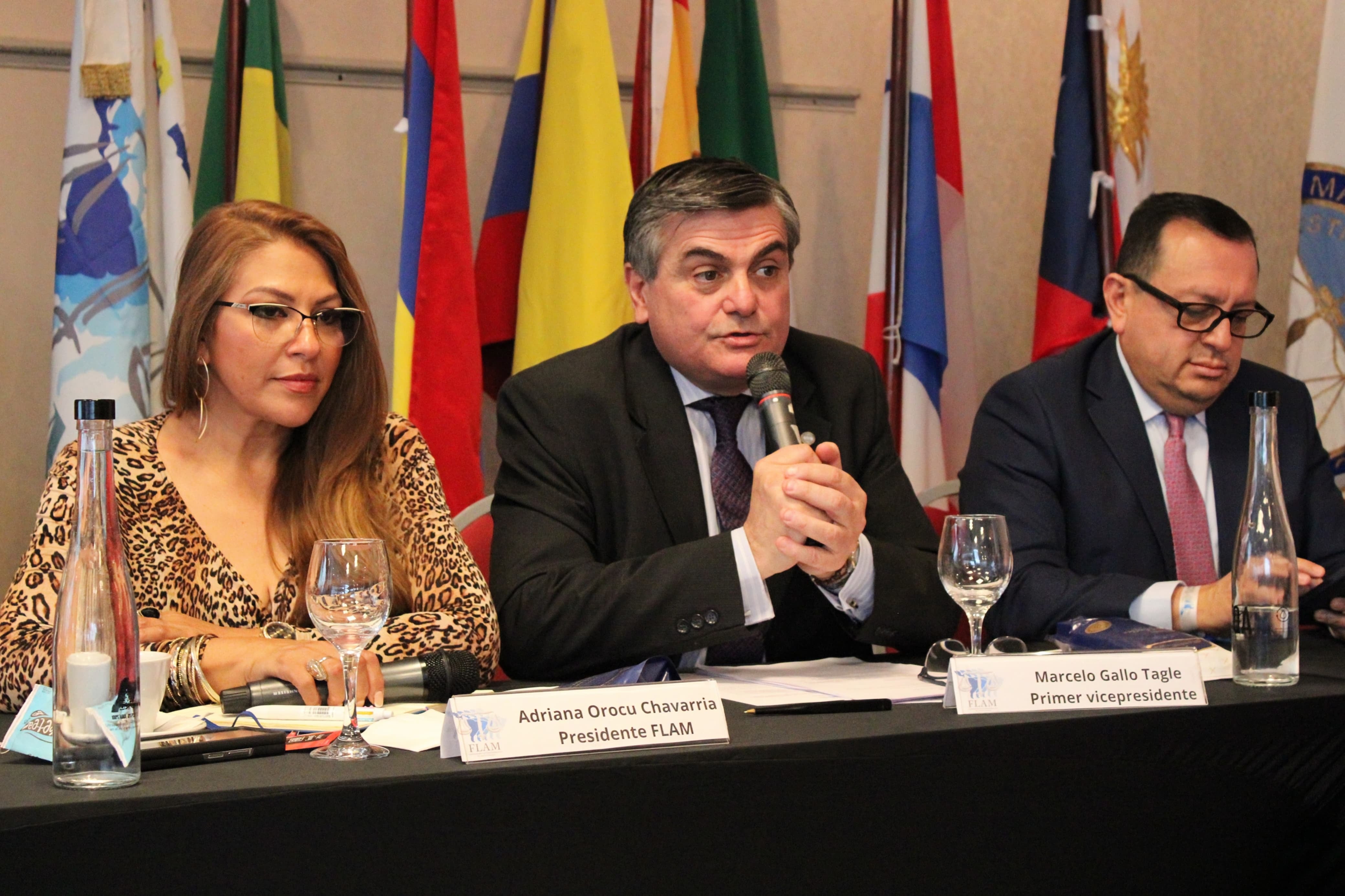 Marcelo Gallo Tagle presidió la Asociación de Magistrados y Funcionarios de la Justicia Nacional entre 2018 y 2023 y la Federación Latinoamericana de Magistrados entre 2024 y 2026. Actualmente es secretario general del Grupo Iberoamericano de la Unión Internacional de Magistrados