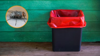 Adiós a los malos olores