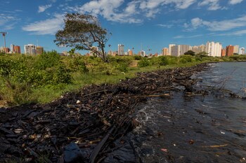 Desechos impregnados de petróleo en La Vereda del Lago, en Maracaibo, estado Zulia (Venezuela), en una fotografía de archivo. EFE/Miguel Gutiérrez