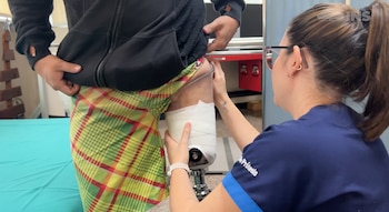 2025 cerró con 30 casos