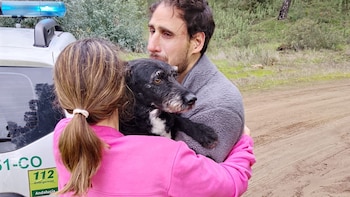 Boro, el perro extraviado ha sido hallado por un grupo de Bomberos forestales y ya se encuentra con su familia (@Plan_INFOCA)