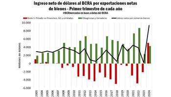 Ingreso neto del dólares al