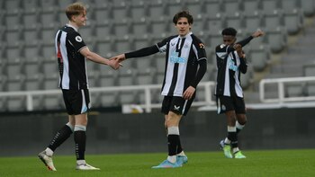 Imagen 3AV6MRGO6RBGHHV5NETSAHCY4A