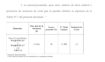 El test de pureza a la cocaína de Susan D. reflejado en la condena en su contra