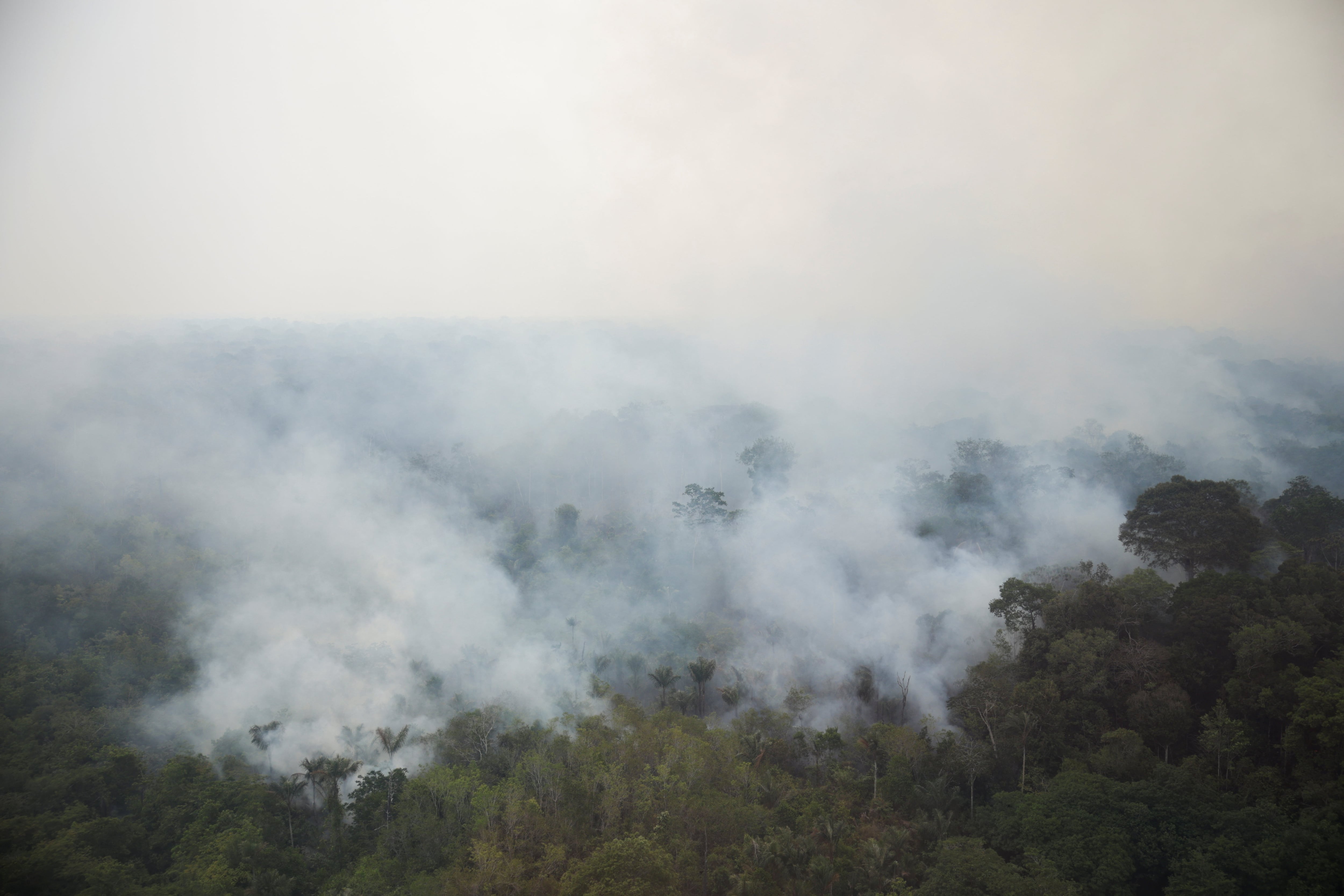 Los registros climáticos acumulados en 46 años confirmaron una caída del 20% en las lluvias amazónicas durante los meses más secos. (REUTERS/Bruno Kelly)