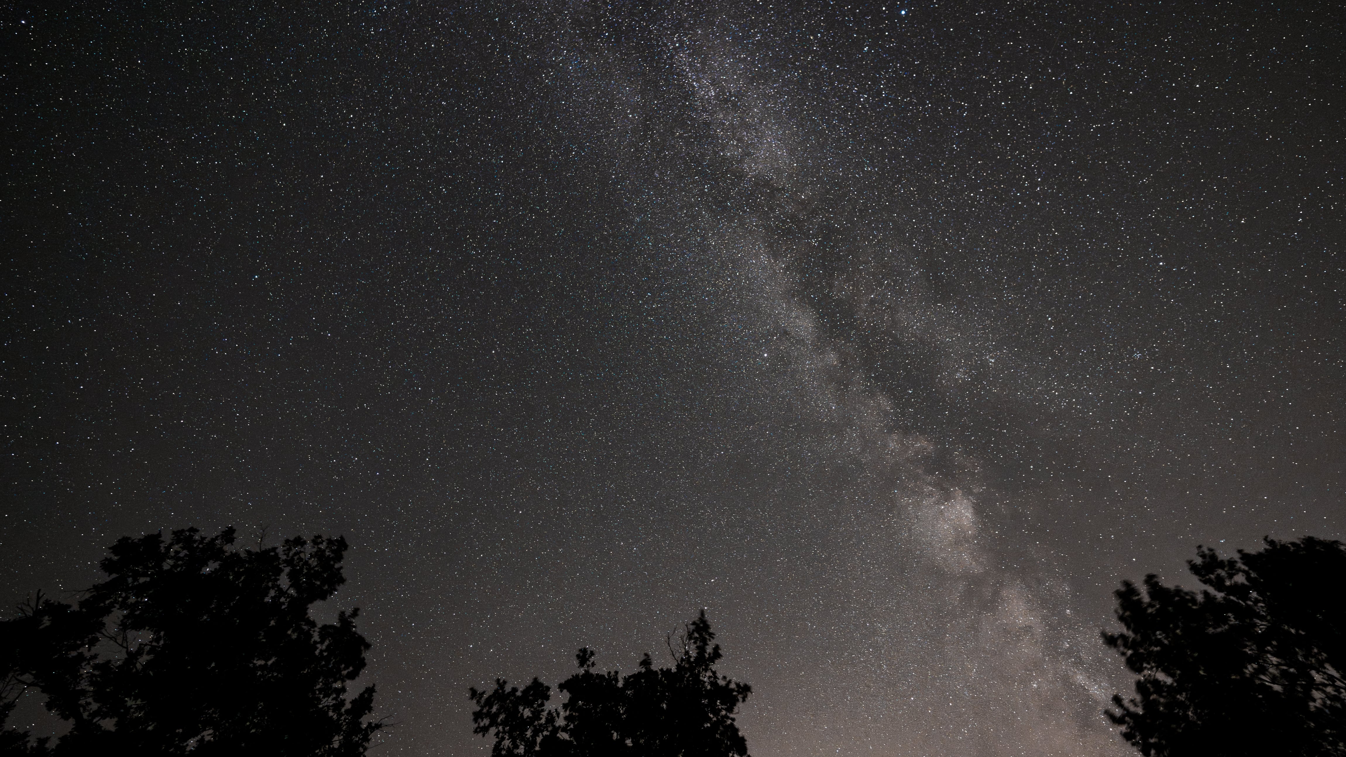 Perseidas 2026: dónde se pueden ver y cuál será la mejor noche para disfrutar de ellas