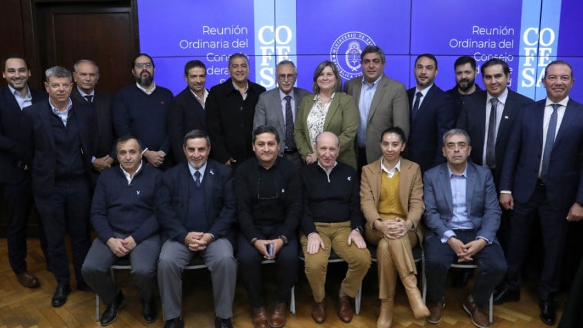 El lunes se reunió el Consejo Federal de Salud. Provincia de Buenos Aires estuvo ausente