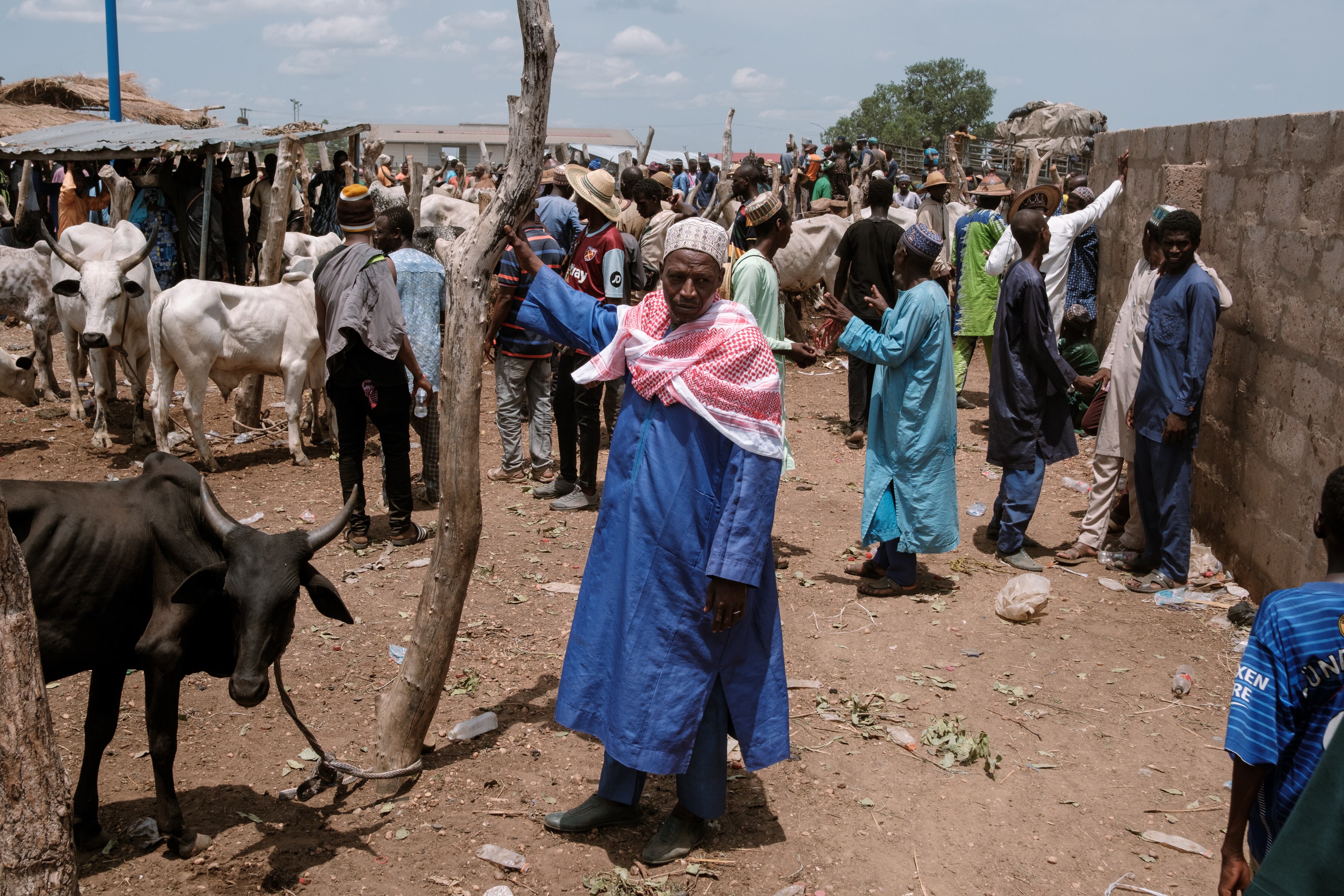 Ali Diallo espera para negociar el precio de su ganado en un mercado de Buipe, Ghanam (Guy Peterson/Para The Washington Post)