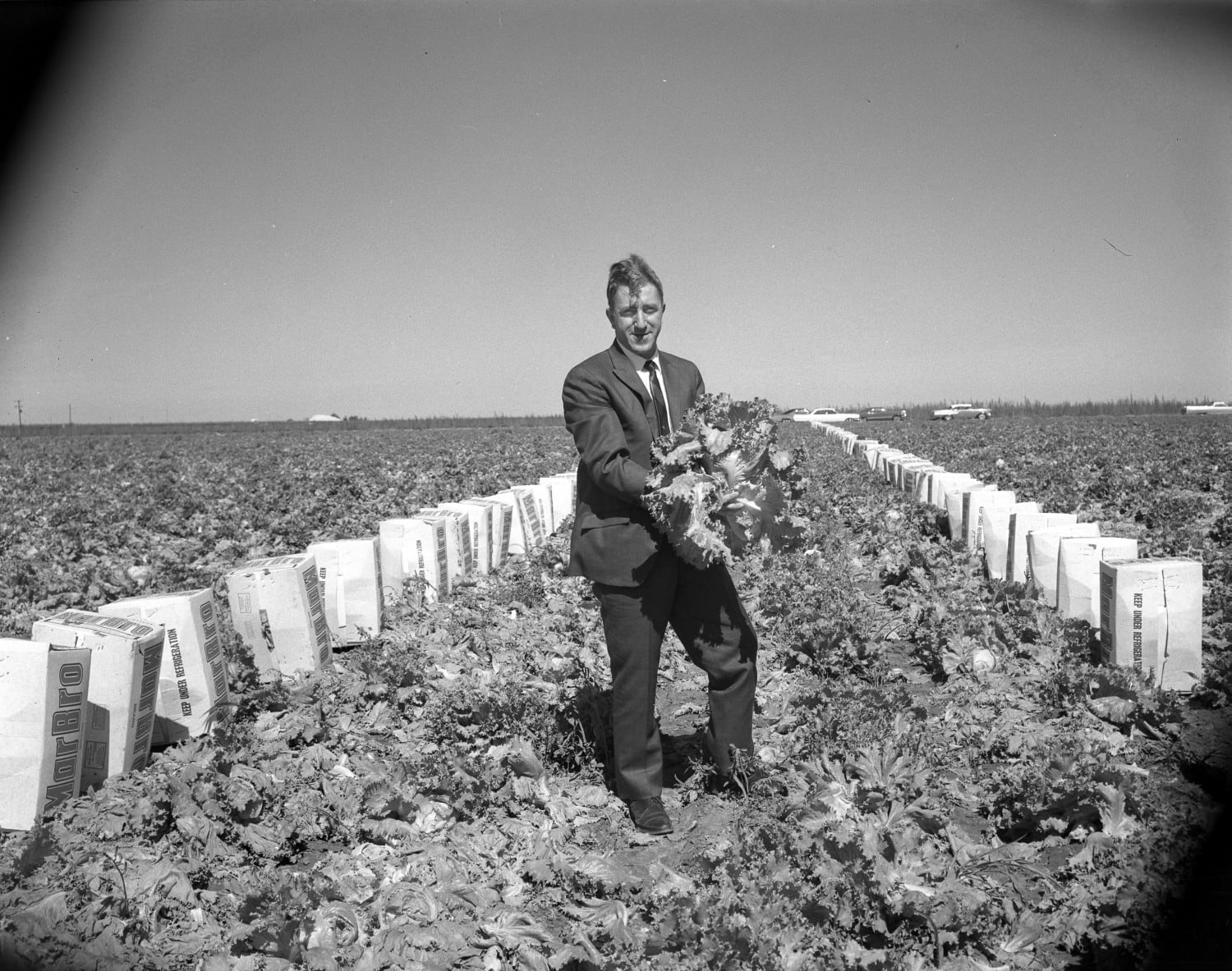 El cigarrillo Bravo, hecho de lechuga, surgió en 1997 como alternativa sin nicotina para quienes buscaban dejar de fumar (Cortesía de la Biblioteca del Condado de Deaf Smith)