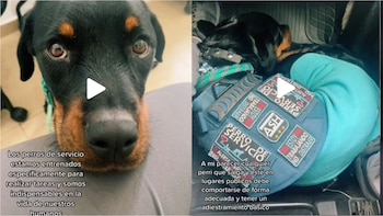 Usuaria comparte su vida con