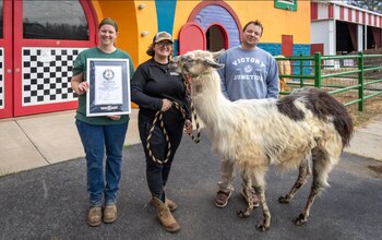 Sarah Wilcox (izquierda), empleada de