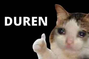 Los 5 memes más graciosos de gatos. (foto: Lifeder)