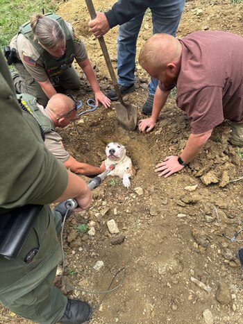El cuidador del perro actuó
