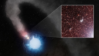 Por qué el polvo de