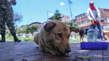 Judicializado hombre que habría realizado