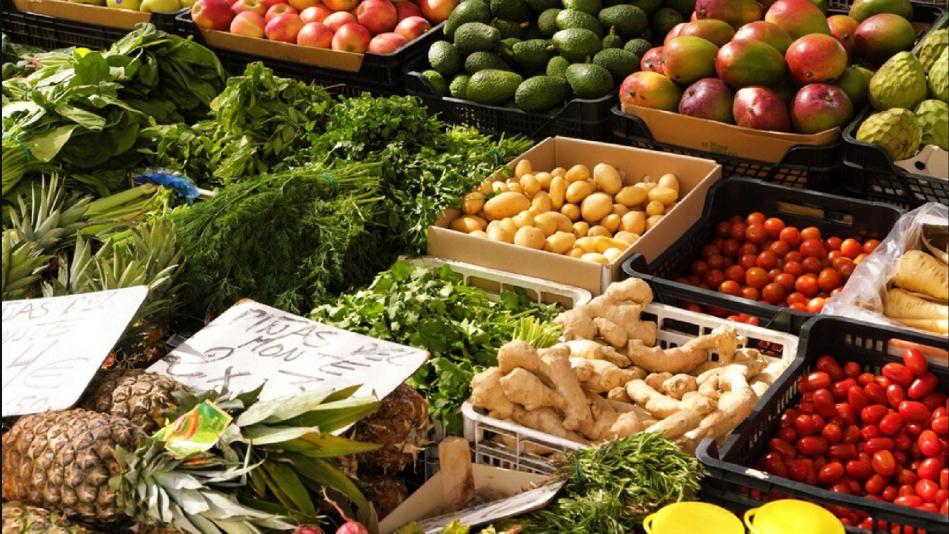 Identifican 12 alimentos clave para cubrir las necesidades diarias de zinc (Freepik)