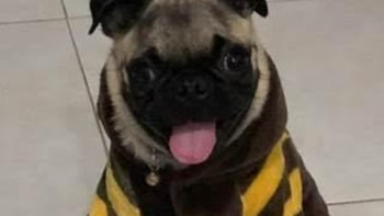 Dos hombres fueron judicializados por