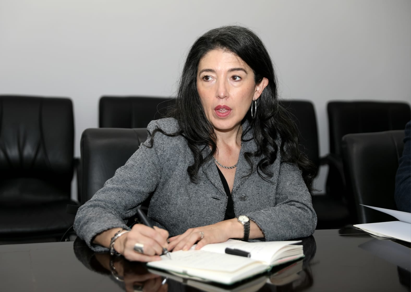 Gloria Lugo, representante del Grupo BID en Panamá, Gloria Lugo, vinculó la recuperación de las zonas afectadas con el respaldo a los negocios que funcionan en esos territorios.