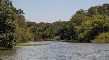 El cuerpo fue hallado en