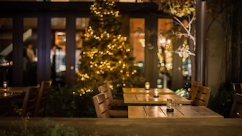 “La camarera de pelo