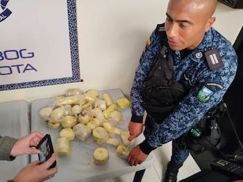 Estupefacientes hallados debajo del piso