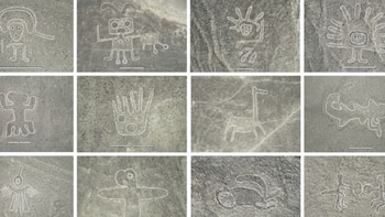 Los estudios sugieren que estas