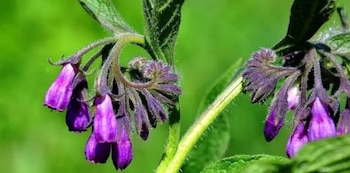 La suelda: una poderosa aliada