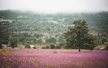Amealco de Bonfil es un