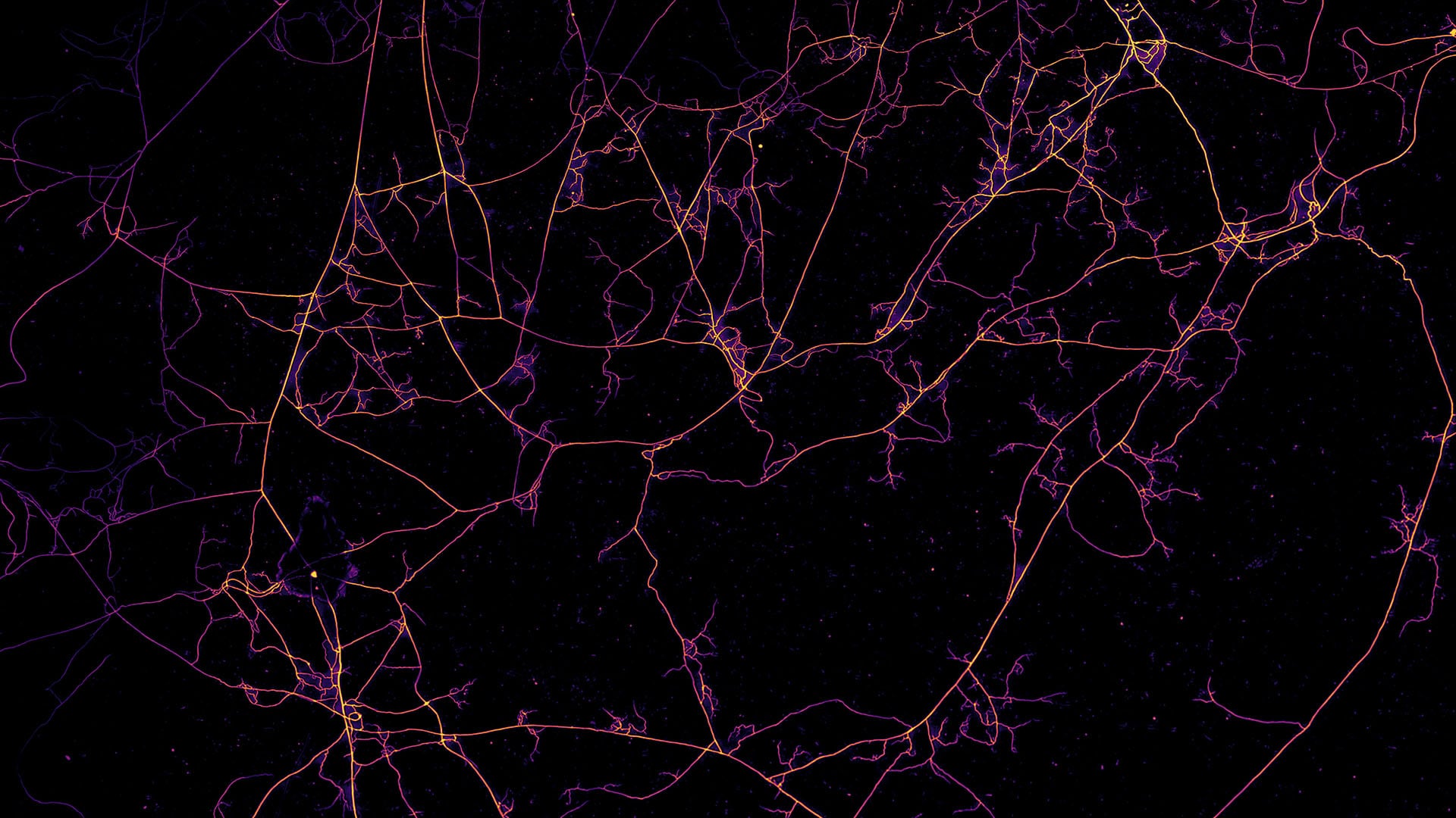 Imágenes de redes fúngicas obtenidas con un microscopio en el instituto de biofísica AMOLF de Ámsterdam. Los filamentos son hifas de micorrizas arbusculares/ Loreto Oyarte Gálvez - VU Ámsterdam, AMOLF