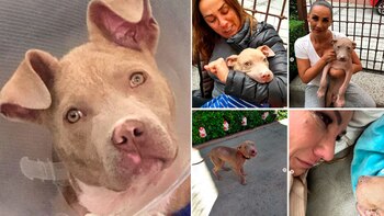 A pesar de su dolor,